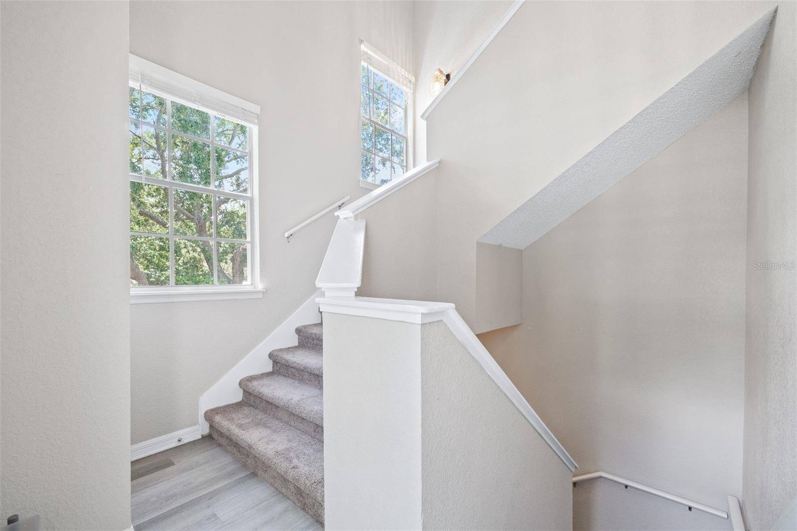 Palm Harbor, FL 34684,3301 HAVILAND CT #203