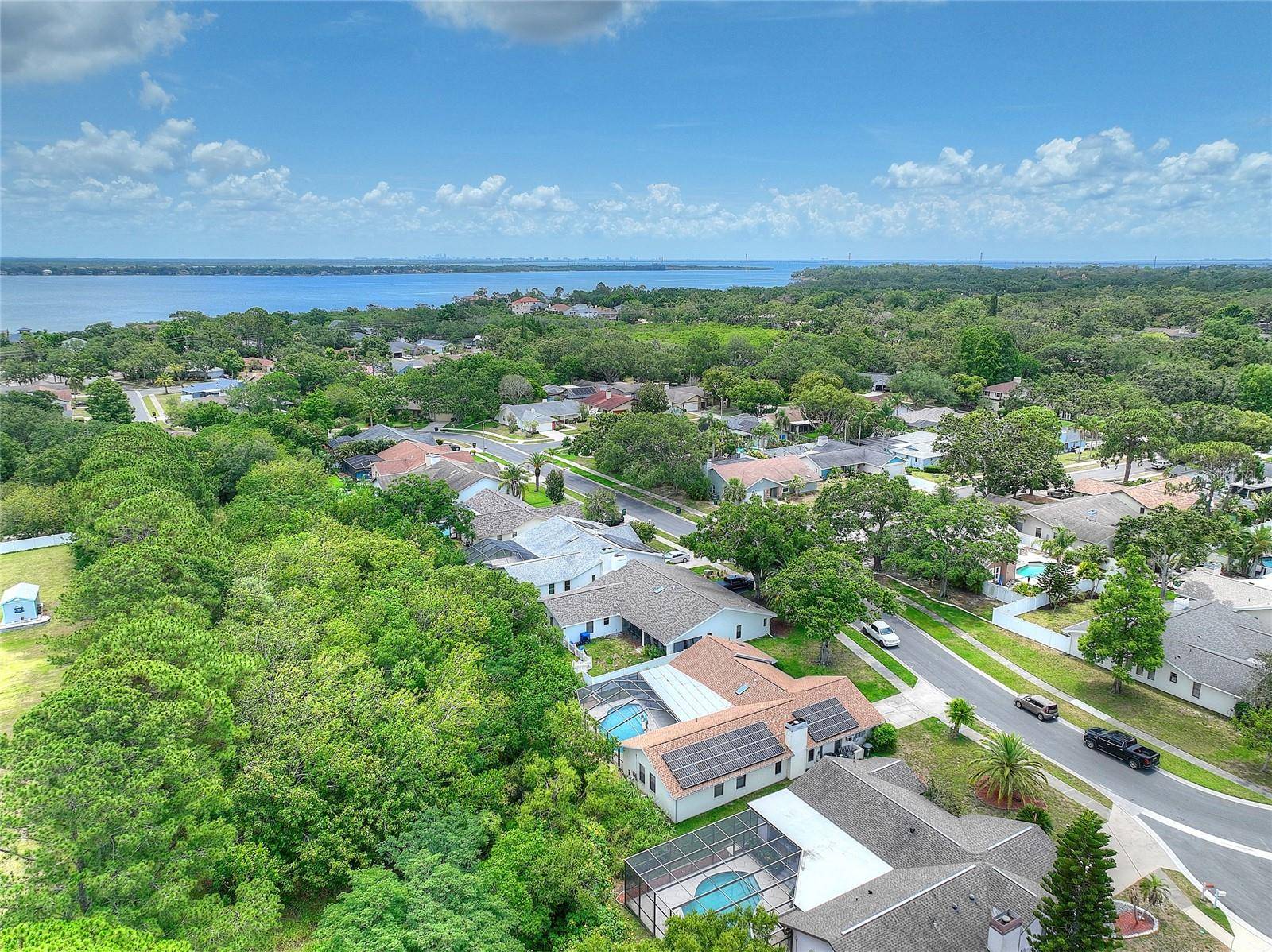 Safety Harbor, FL 34695,313 OAK CREST DR