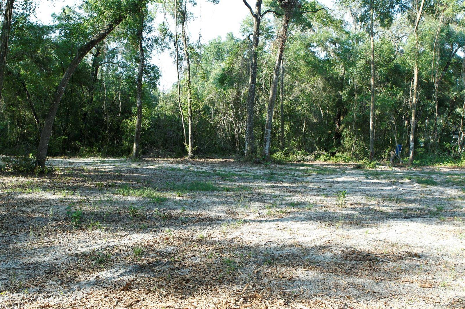 Webster, FL 33597,0 JUNIPER AVE