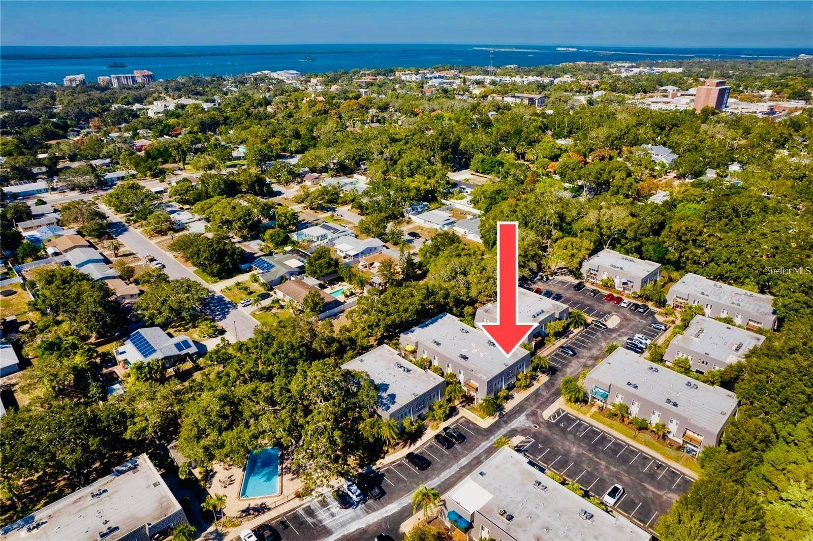 Dunedin, FL 34698,704 LYNDHURST ST #624