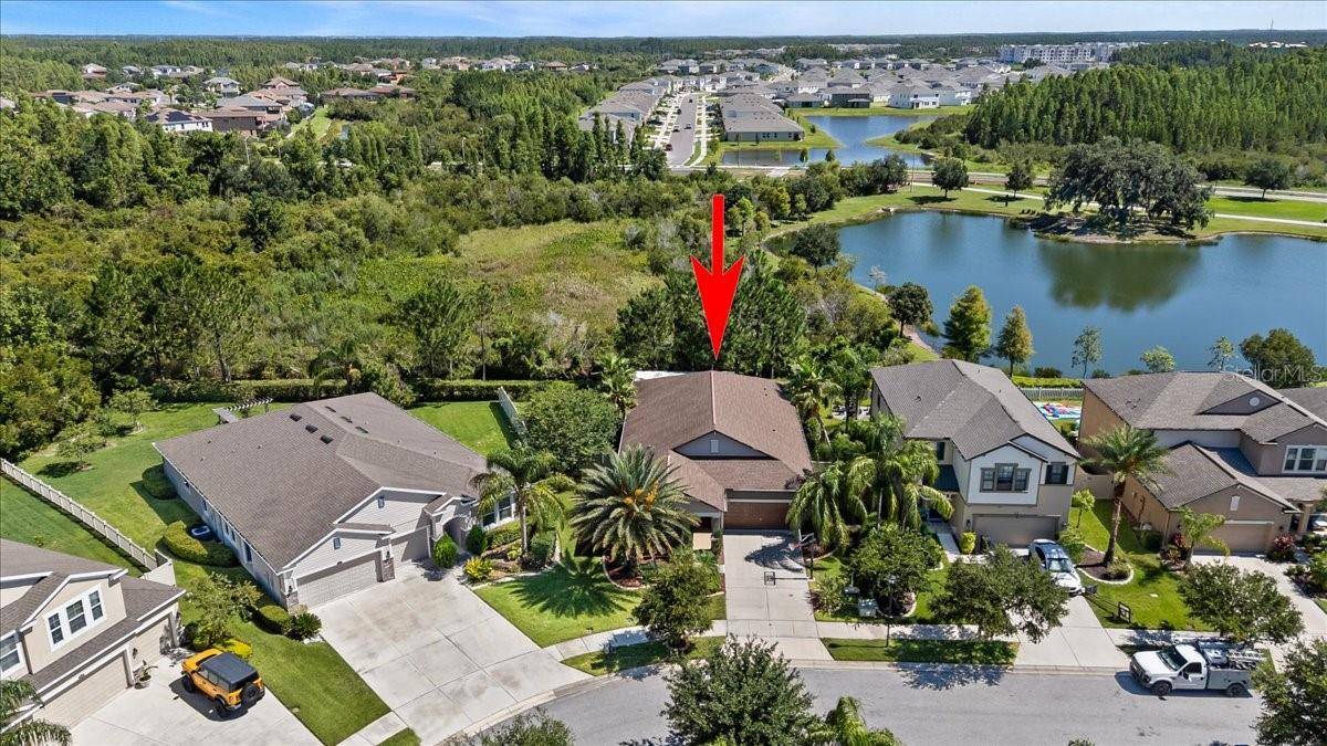 Wesley Chapel, FL 33543,32193 WATOGA LOOP