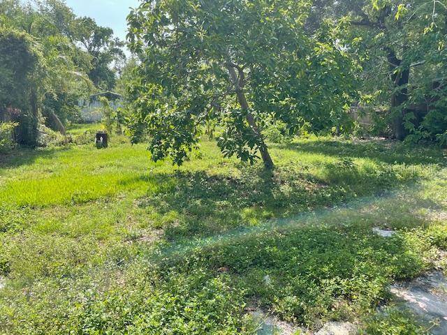 Tampa, FL 33604,7806 N ORLEANS AVE