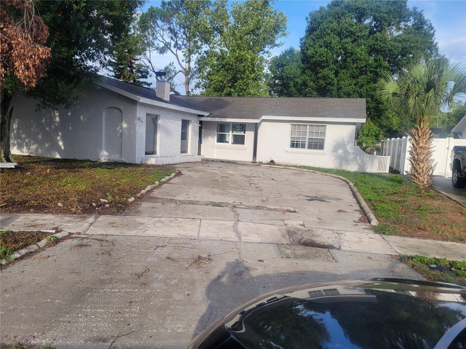 Brandon, FL 33510,904 WINCHESTER CT