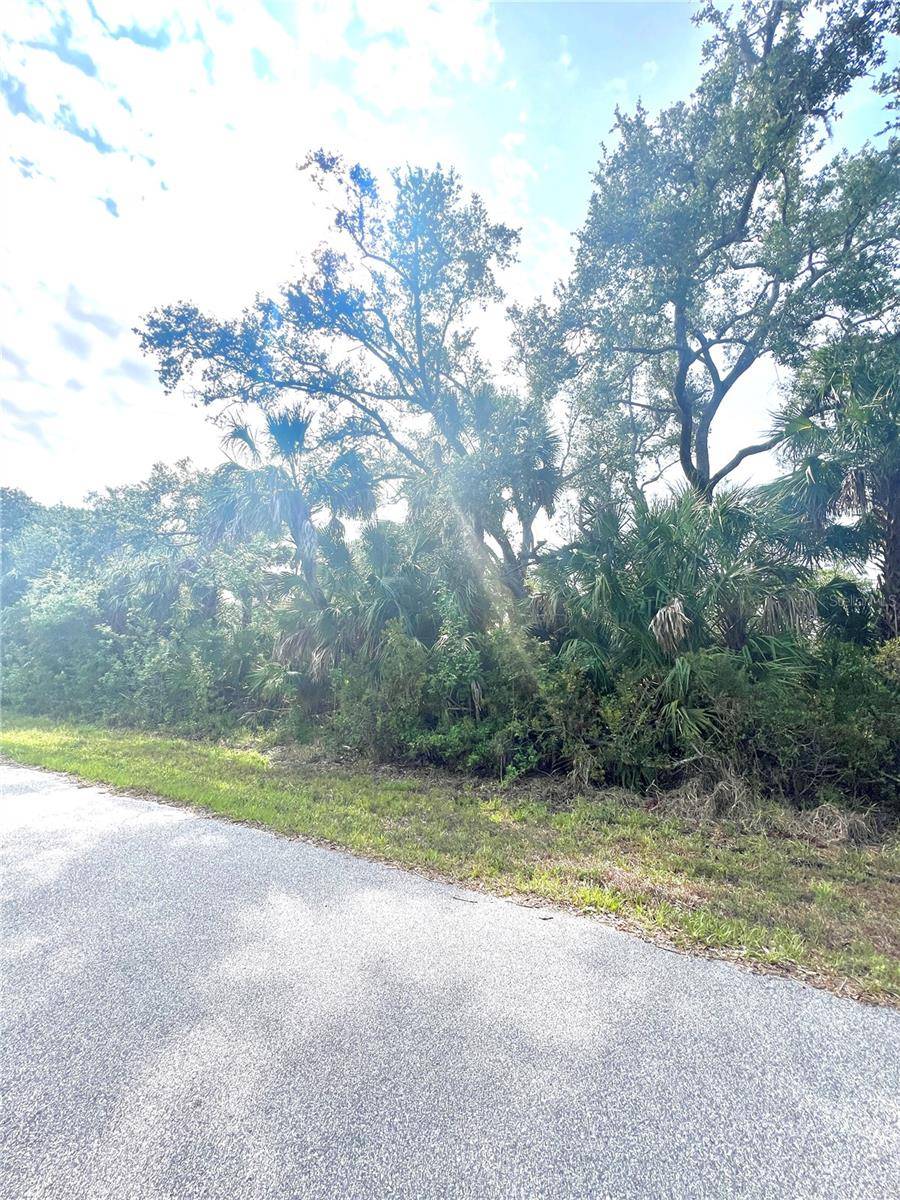 Port Charlotte, FL 33953,1419 LACE TER