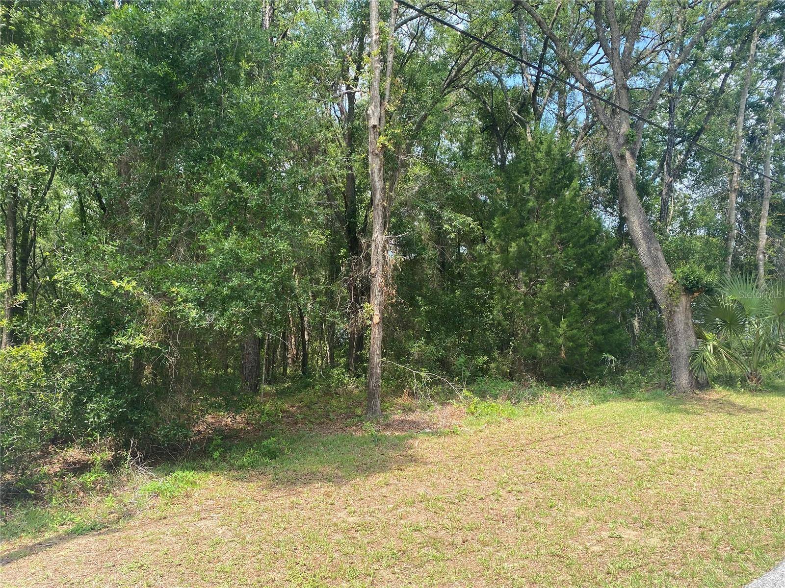 Hernando, FL 34442,1191 E BISMARK ST