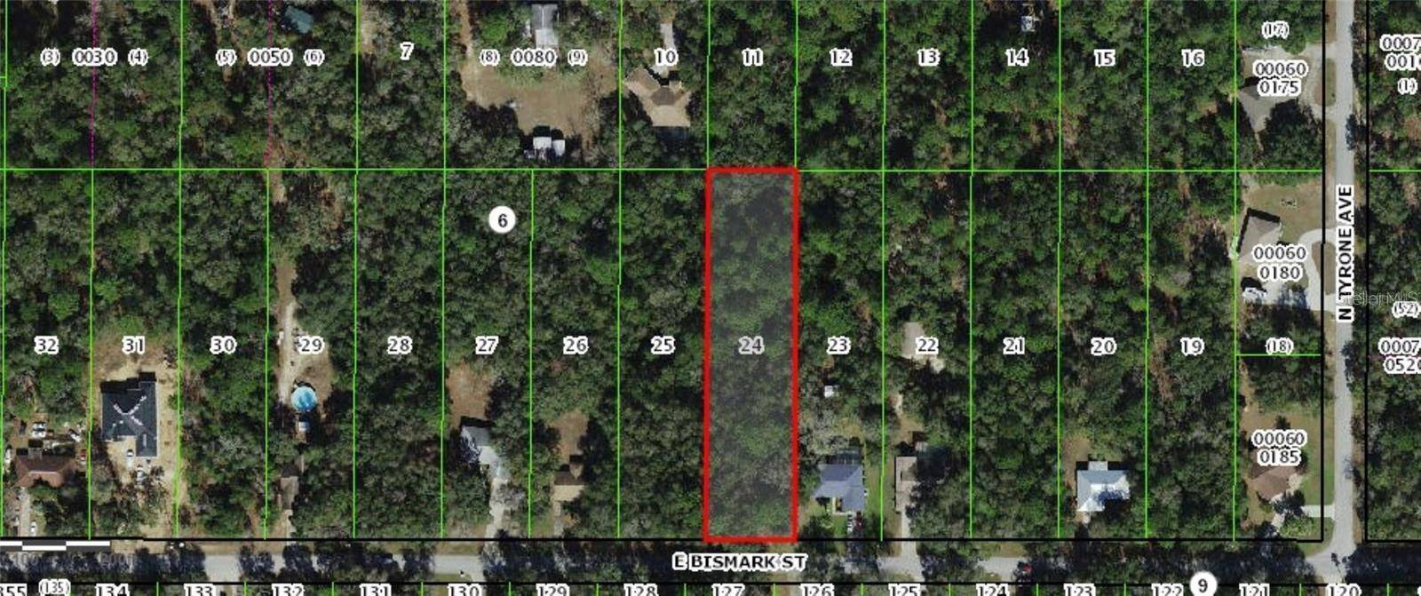 Hernando, FL 34442,1191 E BISMARK ST