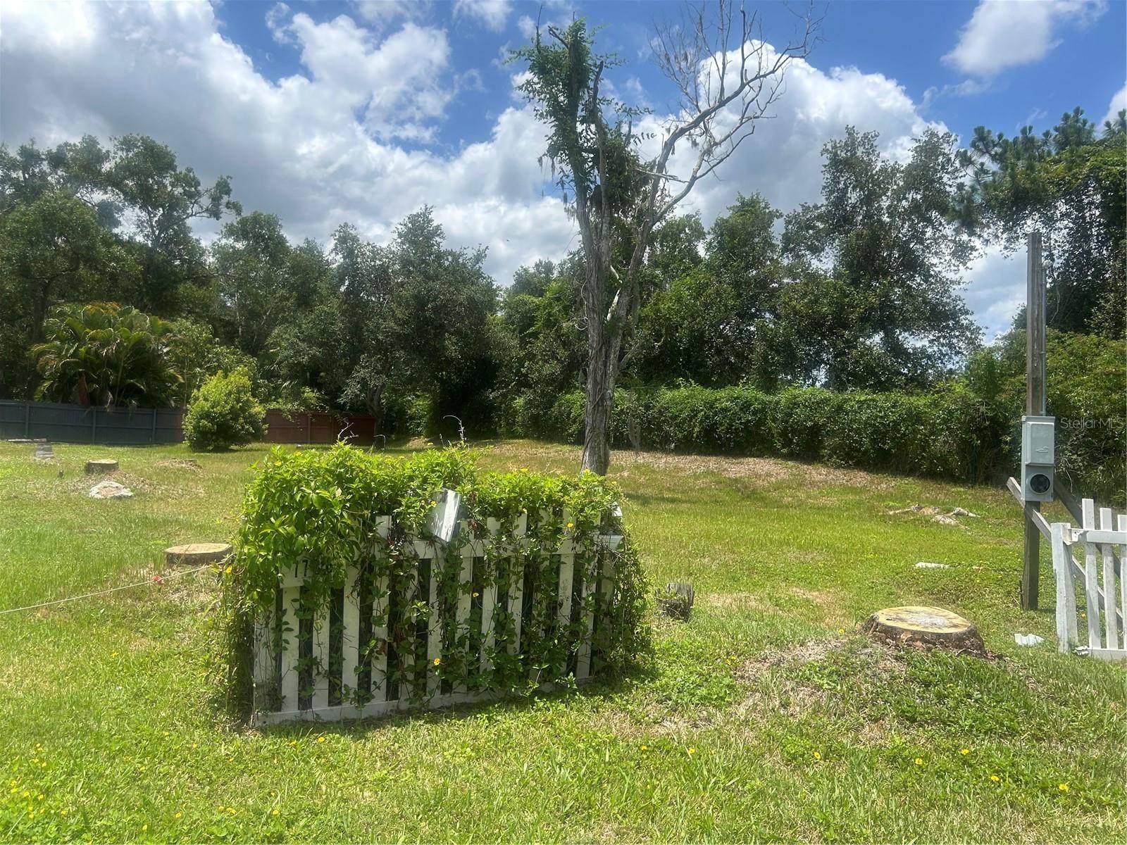 Tampa, FL 33625,7736 AMHERST ST
