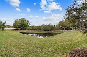 Tampa, FL 33647,20112 WEEPING LAUREL PL