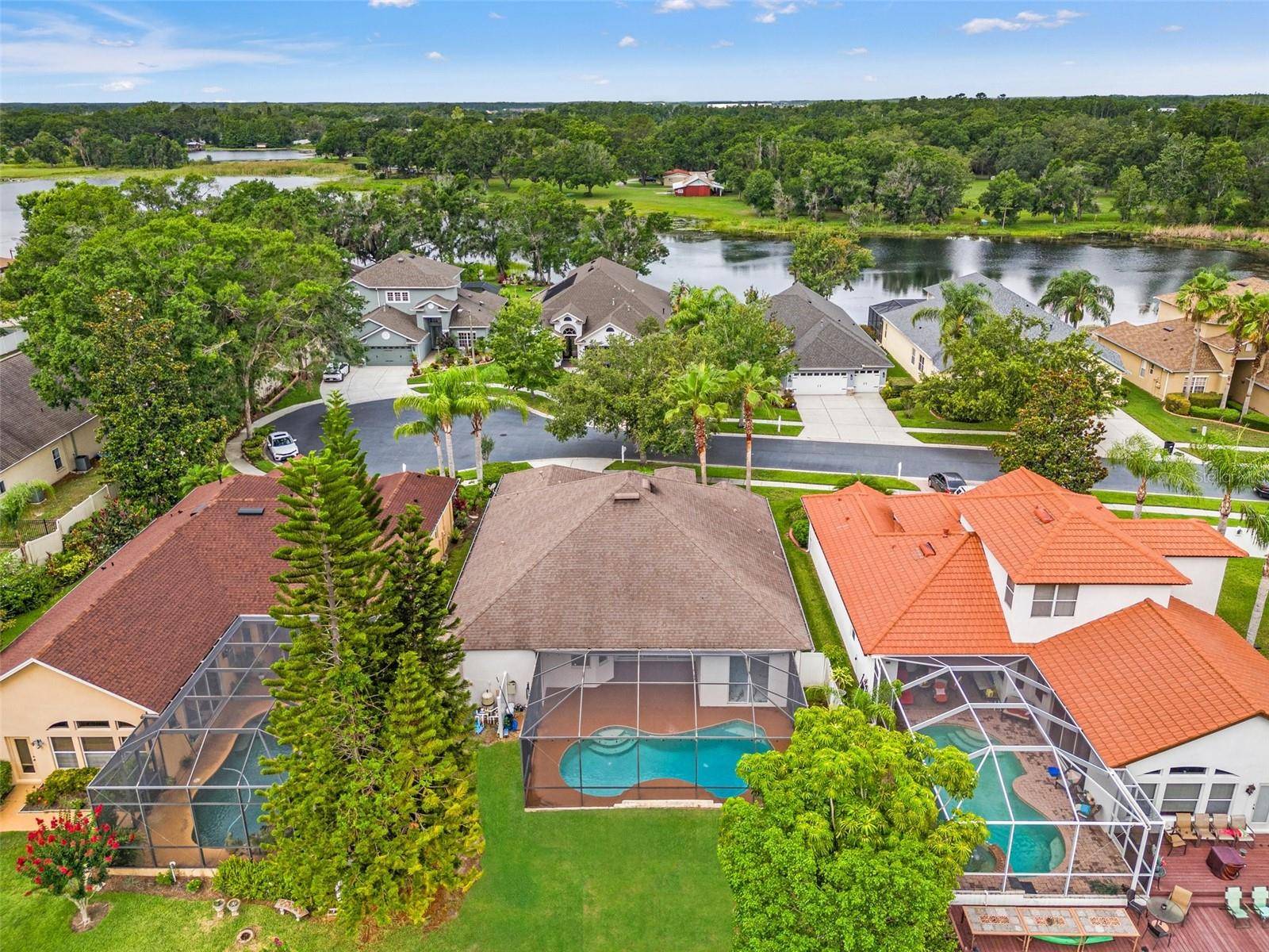 Lutz, FL 33558,2238 SHIRECREST COVE WAY
