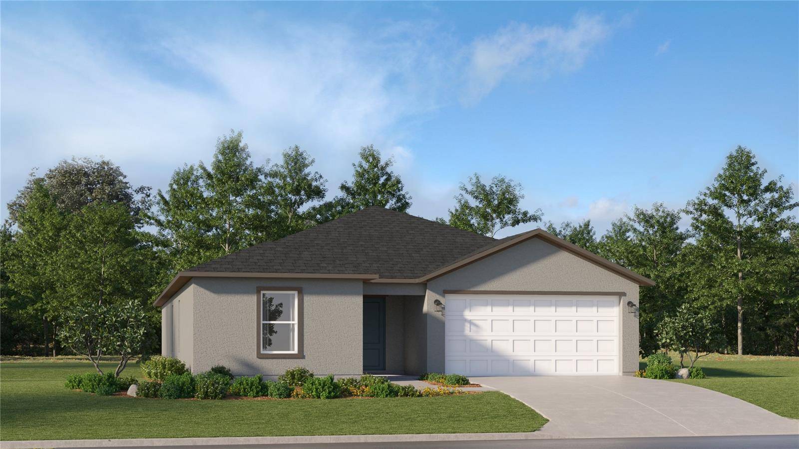 Wimauma, FL 33598,5739 YELLOW HORNBILL AVE