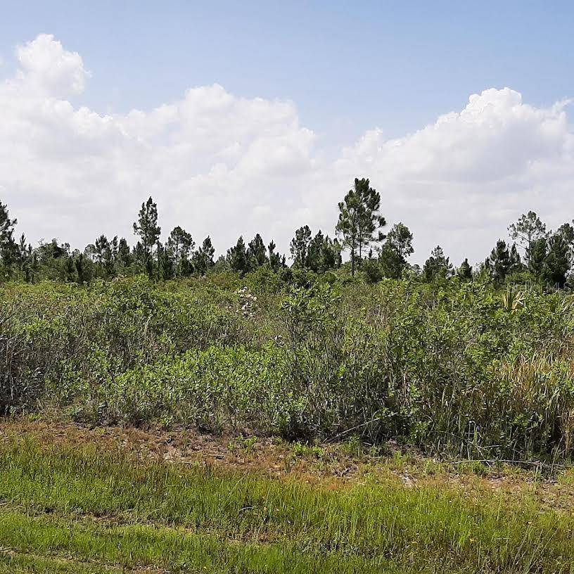Indian Lake Estates, FL 33855,412 CALENDULA DR