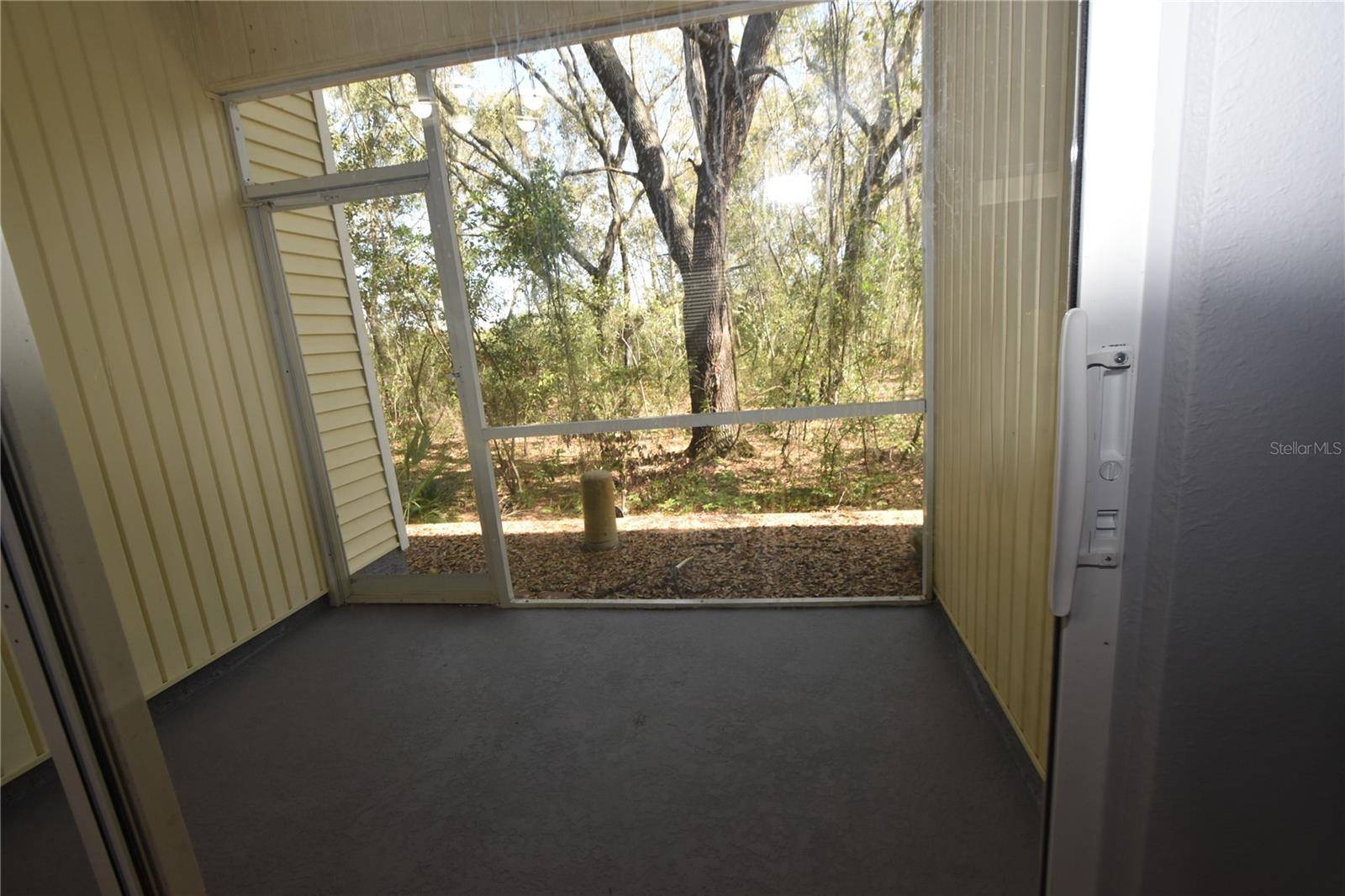Seffner, FL 33584,11048 BLACK SWAN CT