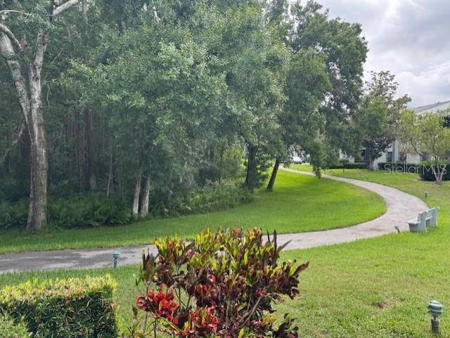 Tarpon Springs, FL 34688,1258 PINE RIDGE CIR W #F1
