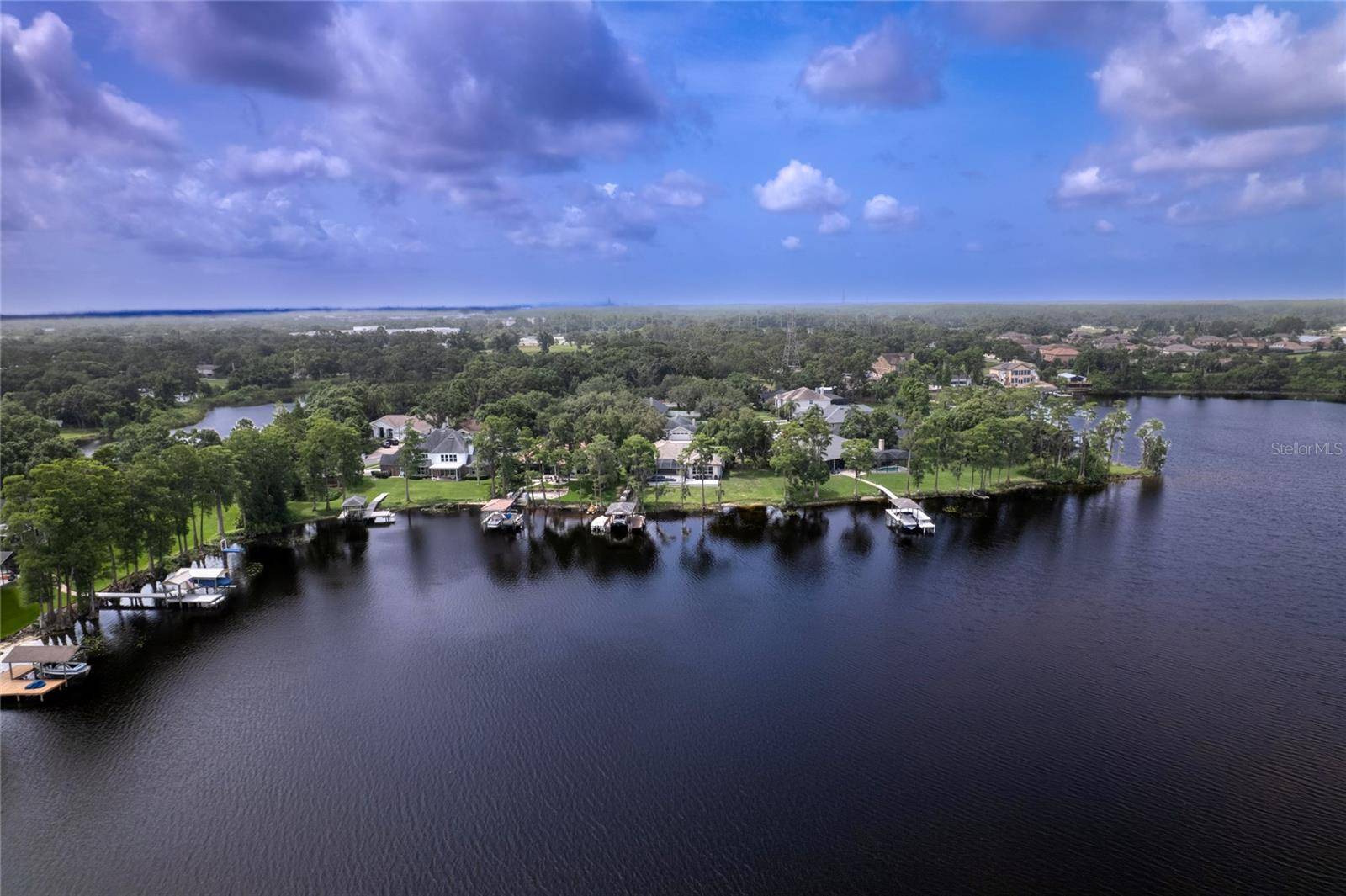 Odessa, FL 33556,15012 MAURINE COVE LN