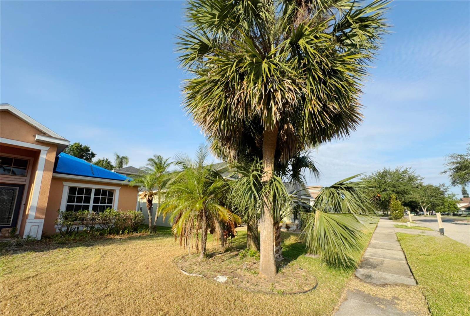 Apollo Beach, FL 33572,7705 NOTTINGHILL SKY DR