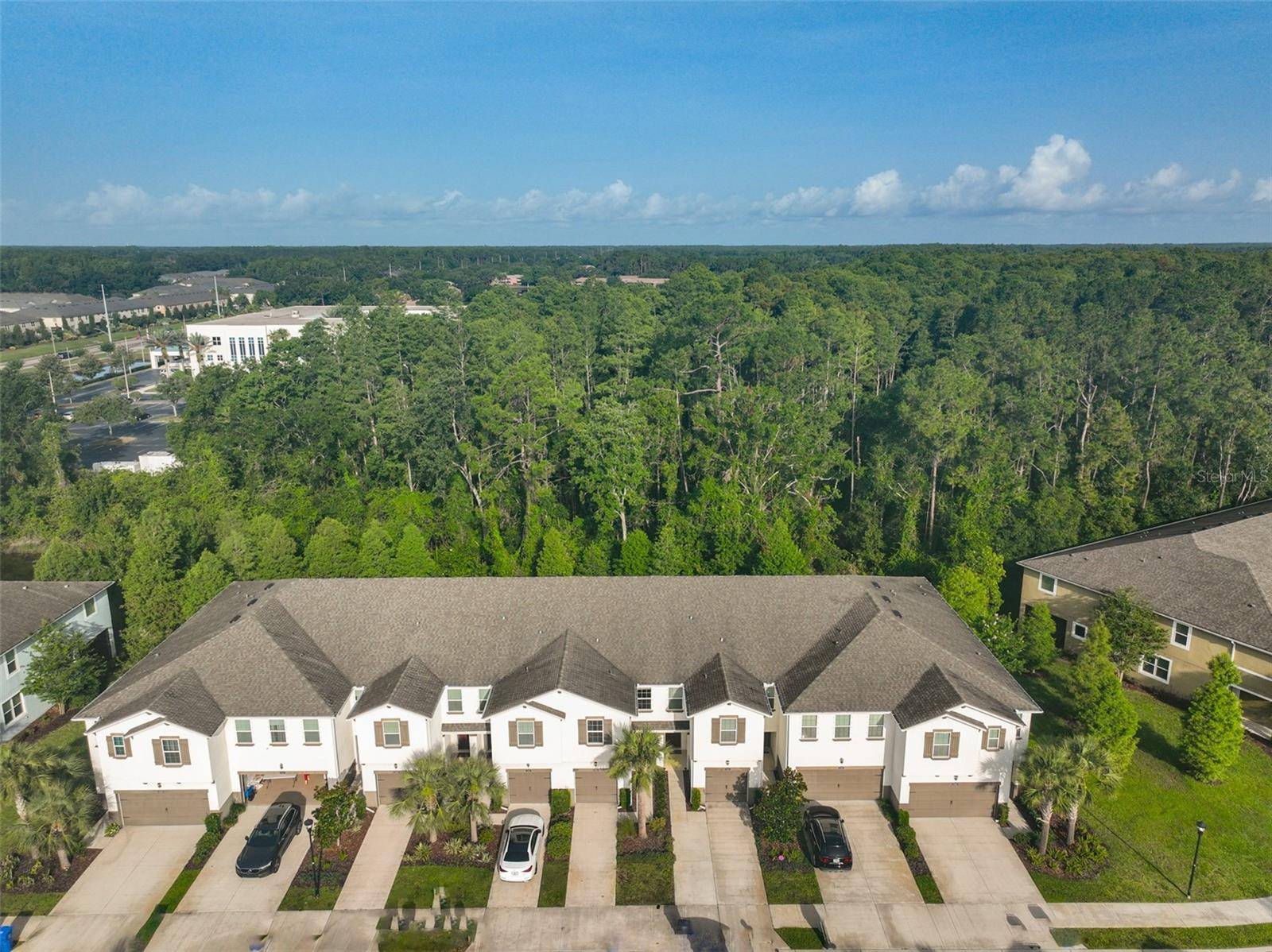 Lutz, FL 33558,17834 ALTHEA BLUE PL