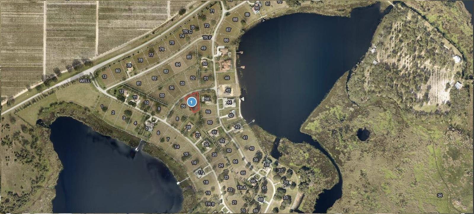 Groveland, FL 34736,Address not disclosed