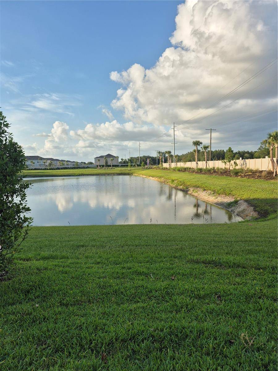 Wesley Chapel, FL 33543,2078 HALLIER CV