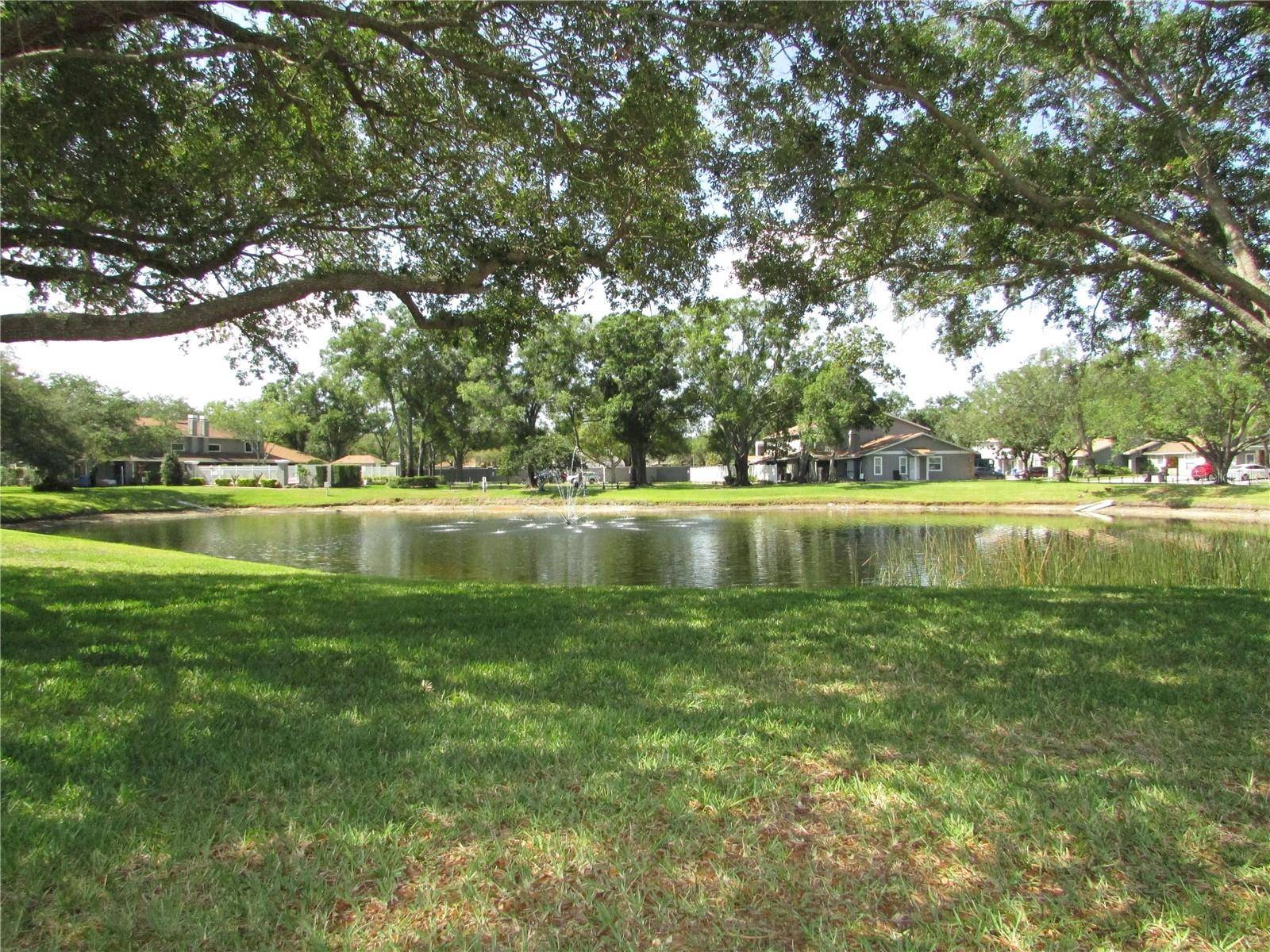 Tampa, FL 33624,10049 LAKE OAK CIR