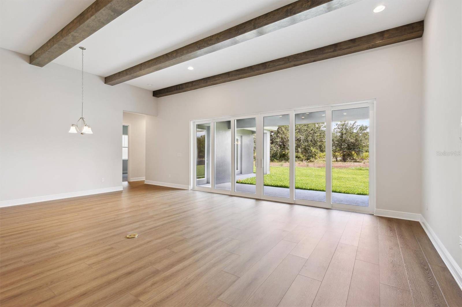 Lithia, FL 33547,14523 SWISS BRIDGE DR