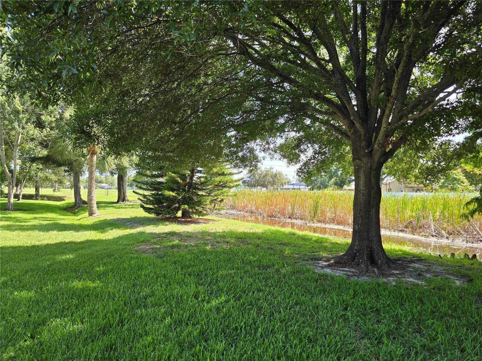 Pinellas Park, FL 33782,10800 US HIGHWAY 19 N #143