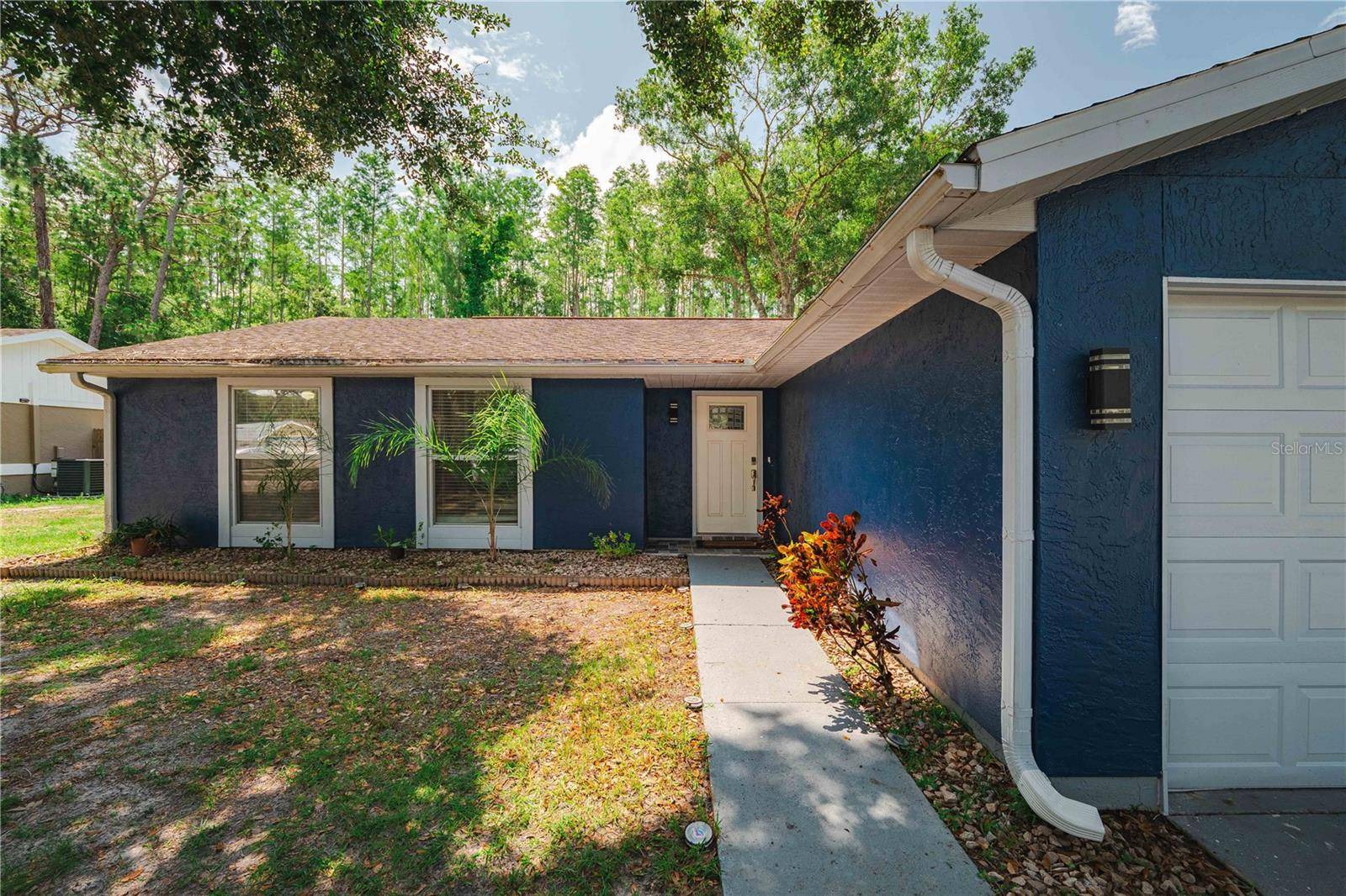 Tampa, FL 33624,5346 BLACK PINE DR