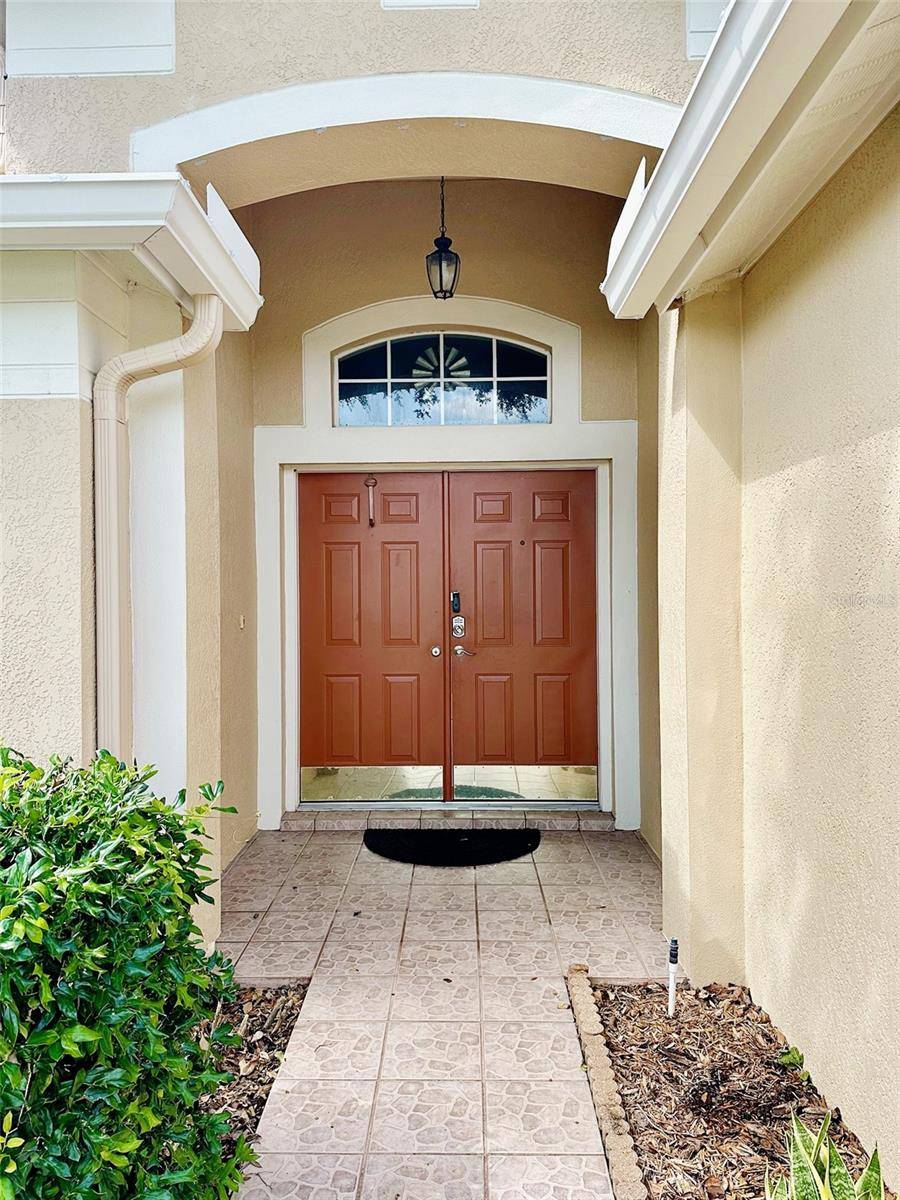 Land O Lakes, FL 34638,19743 ELLENDALE DR