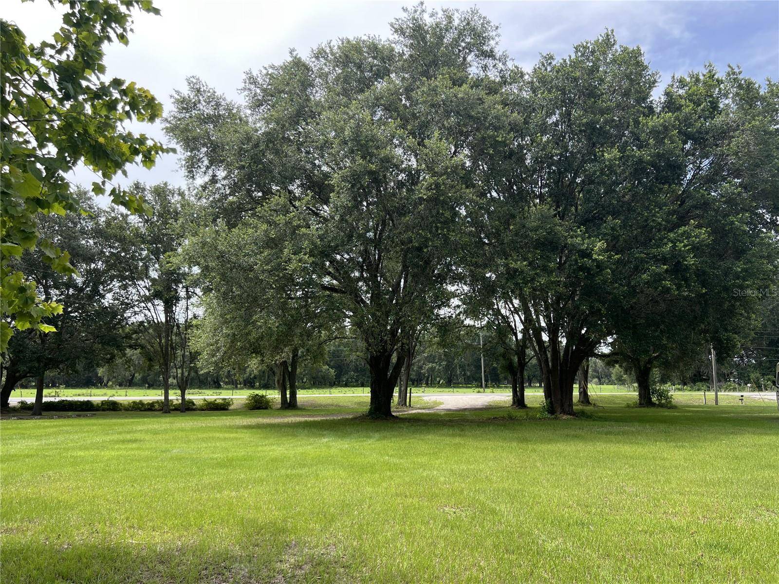 Bushnell, FL 33513,2777 CR 673