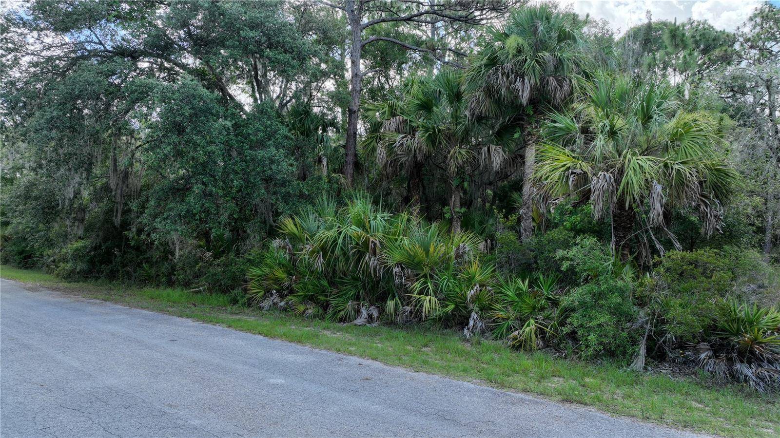 Crystal River, FL 34428,12196 W BLUEBELL DR