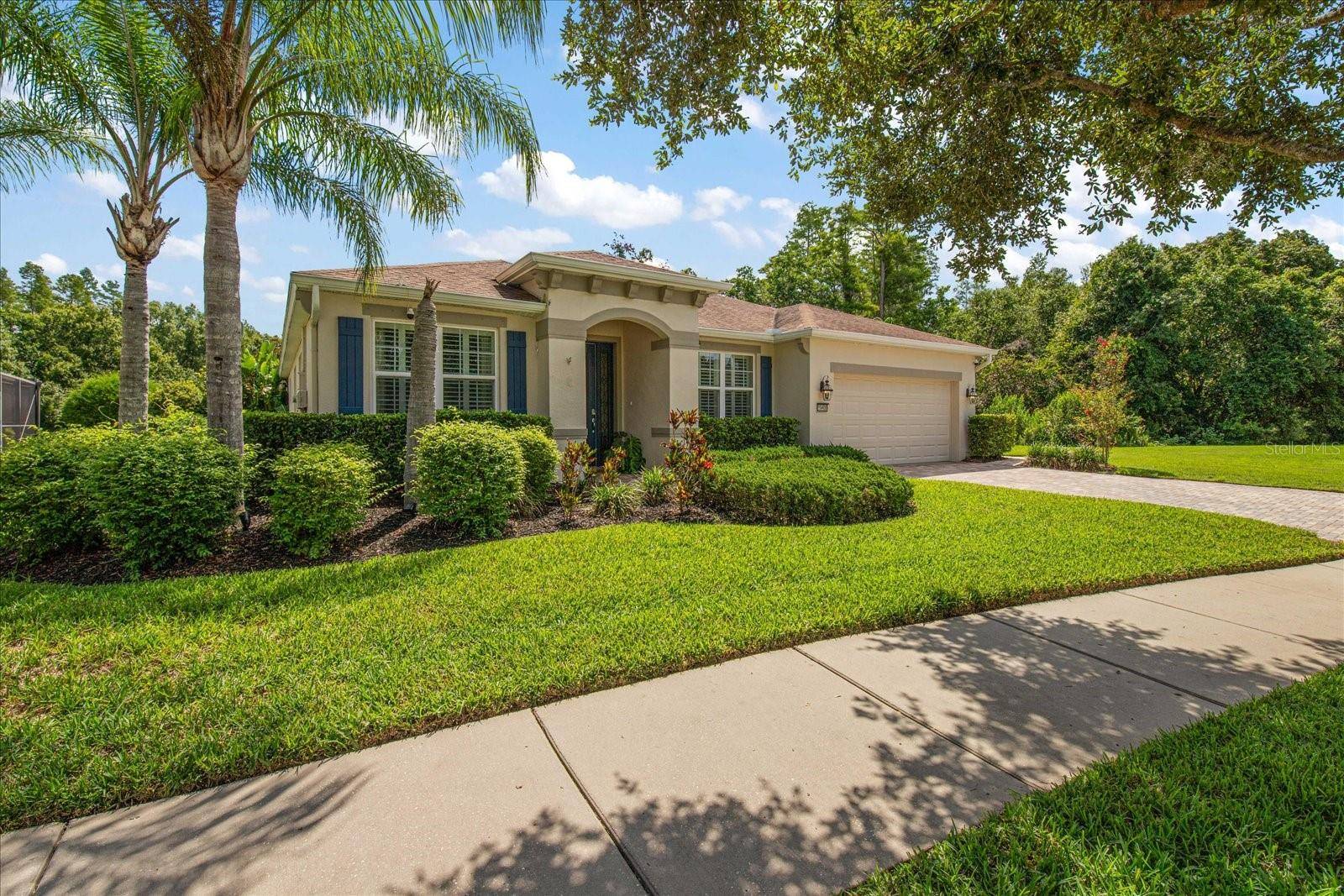 Lutz, FL 33558,19409 WINGROVE LN