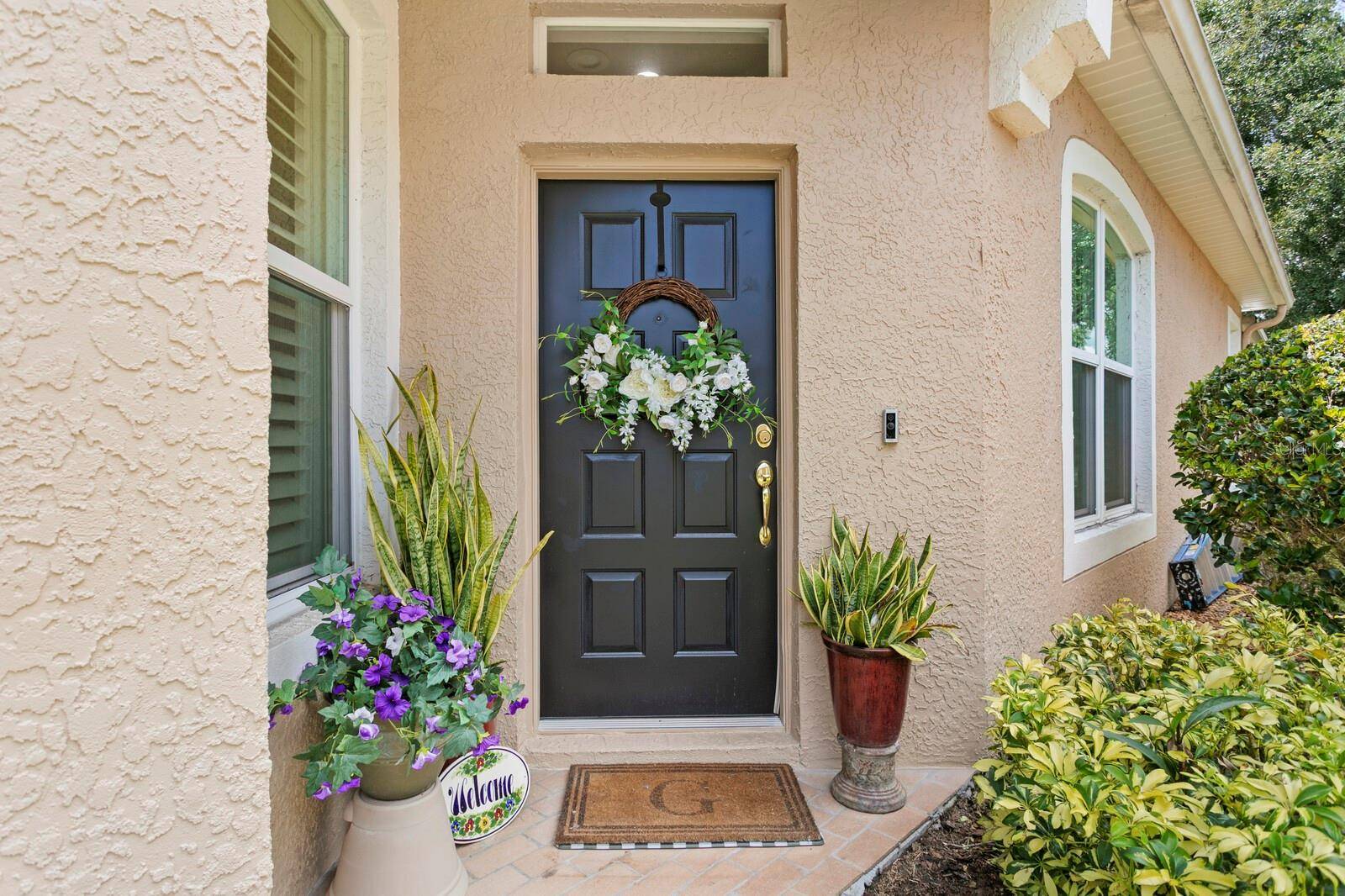 Tampa, FL 33647,8624 SNOWY OWL WAY