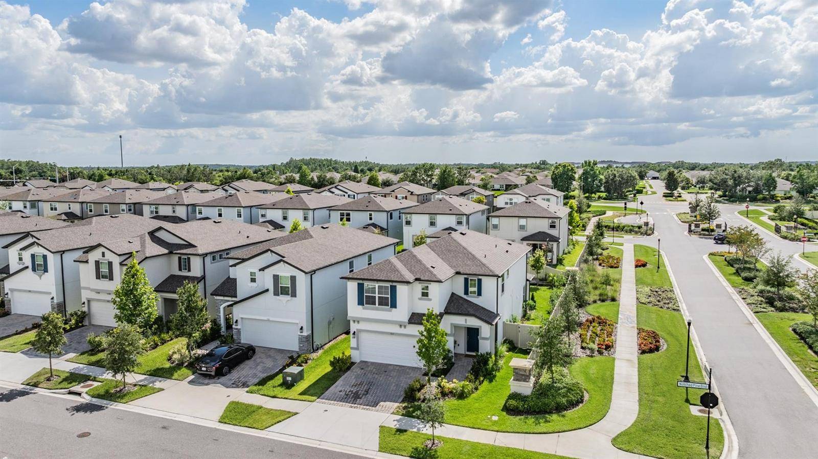 Wesley Chapel, FL 33545,7517 NOTCHED PINE BND