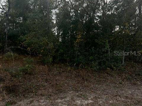 Webster, FL 33597,6330 MIKE LN
