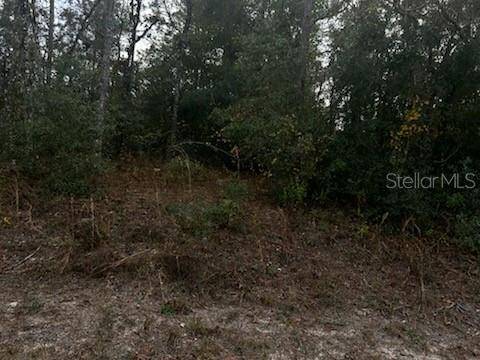 Webster, FL 33597,6330 MIKE LN