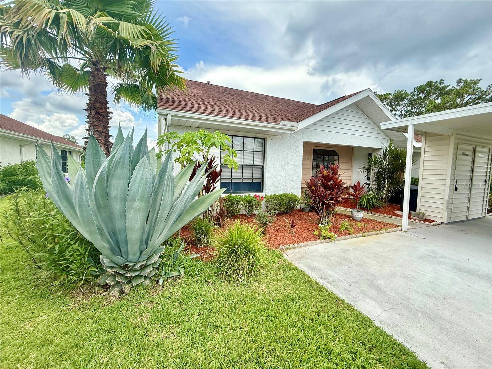 New Port Richey, FL 34654,10636 MILLRIVER DR