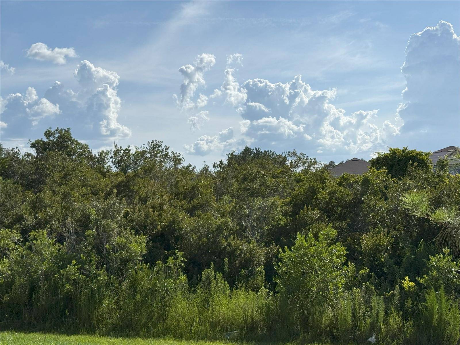 Wesley Chapel, FL 33543,2113 WARREN ACRES BLVD