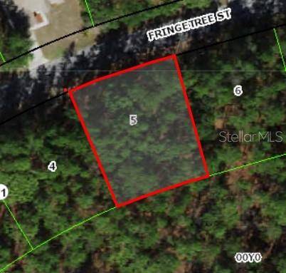 Homosassa, FL 34446,37 FRINGETREE ST