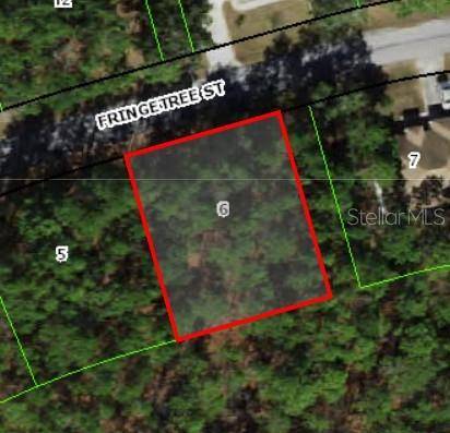 Homosassa, FL 34446,39 FRINGETREE ST