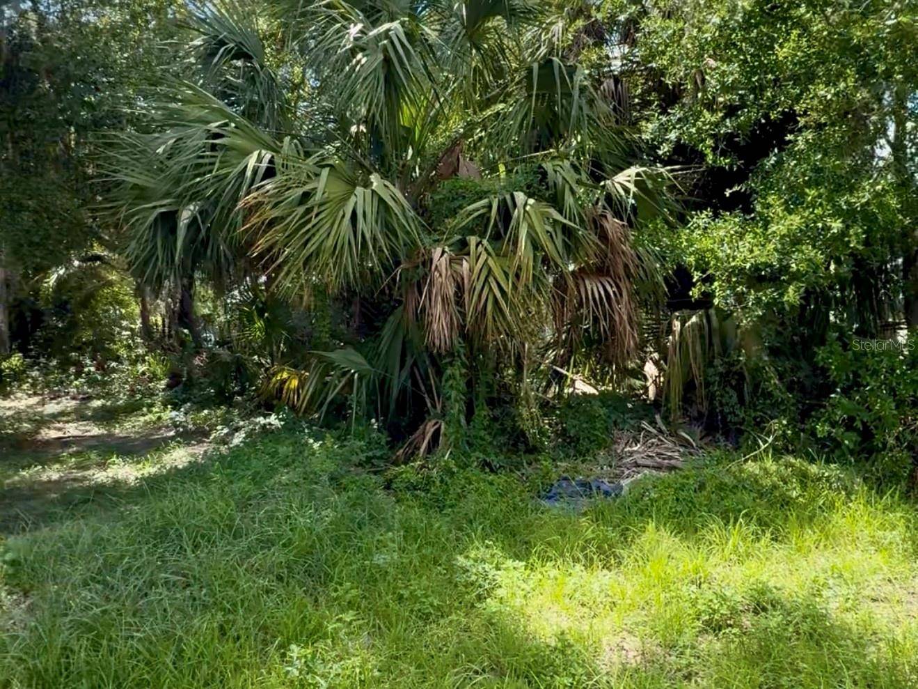 Plant City, FL 33563,208 S FRANKLIN ST