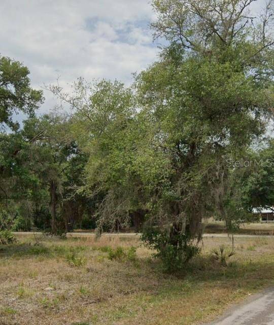 Crystal River, FL 34428,9379 N BROMELIAD TER