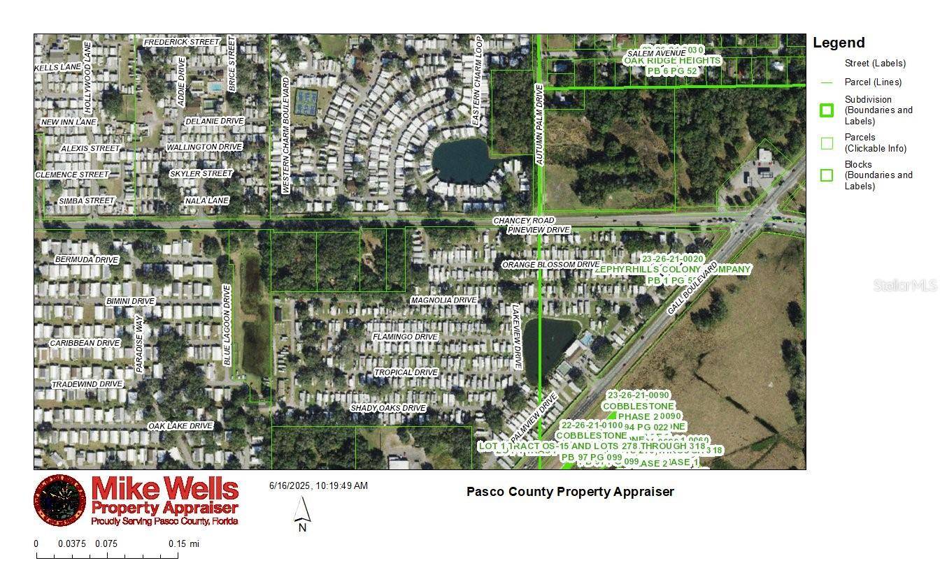 Zephyrhills, FL 33541,37750 CHANCEY RD