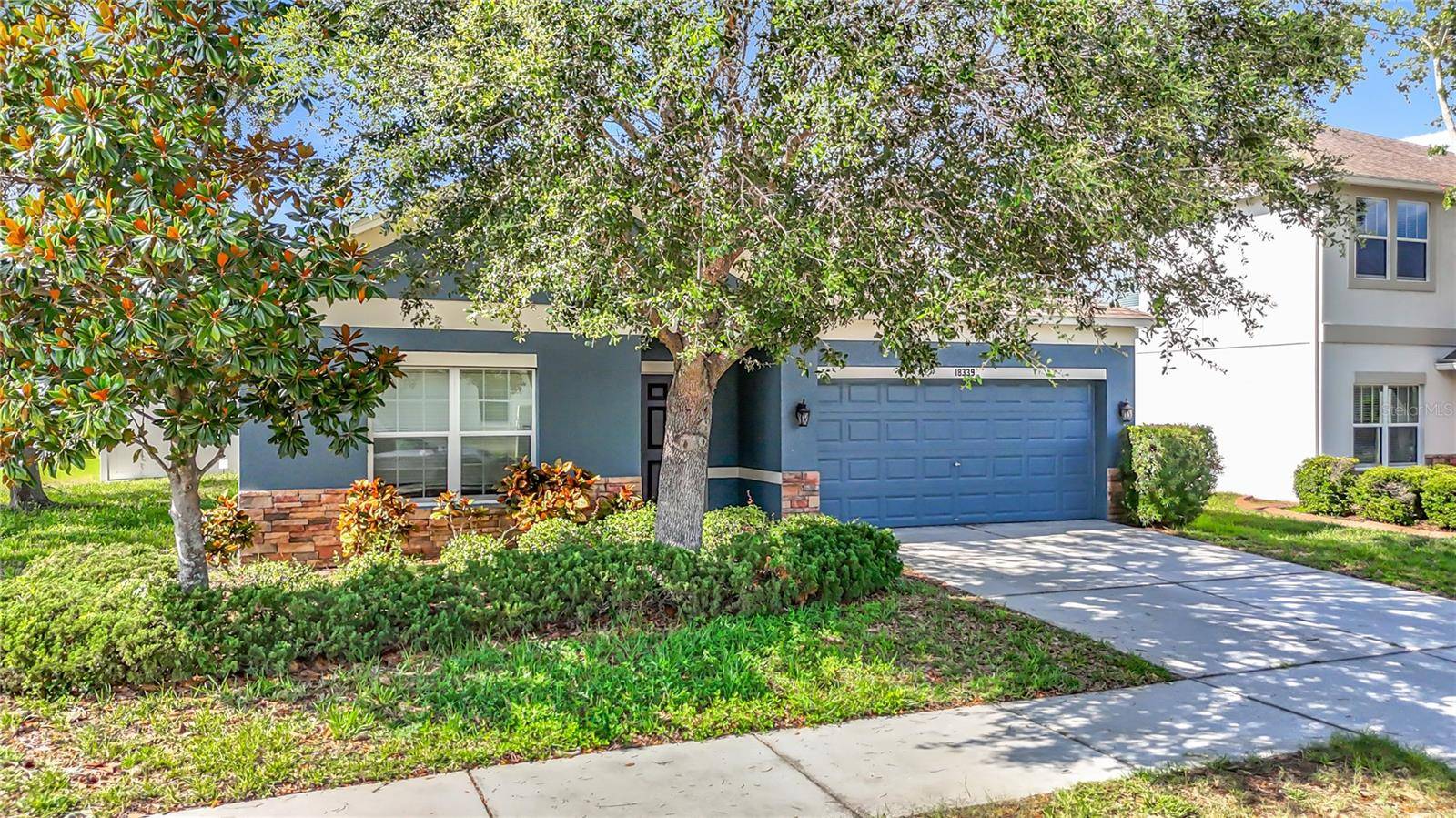 Land O Lakes, FL 34638,18339 FISH LOOP