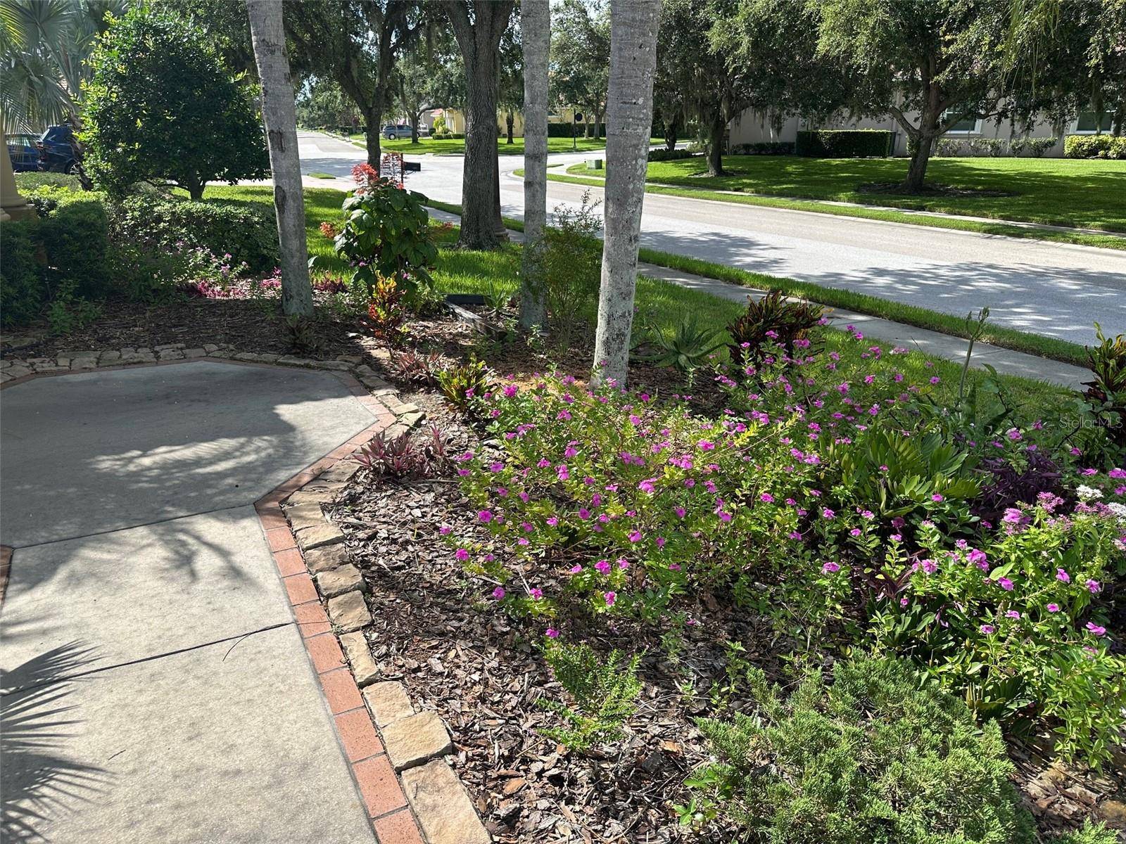 Trinity, FL 34655,1353 EL PARDO DR