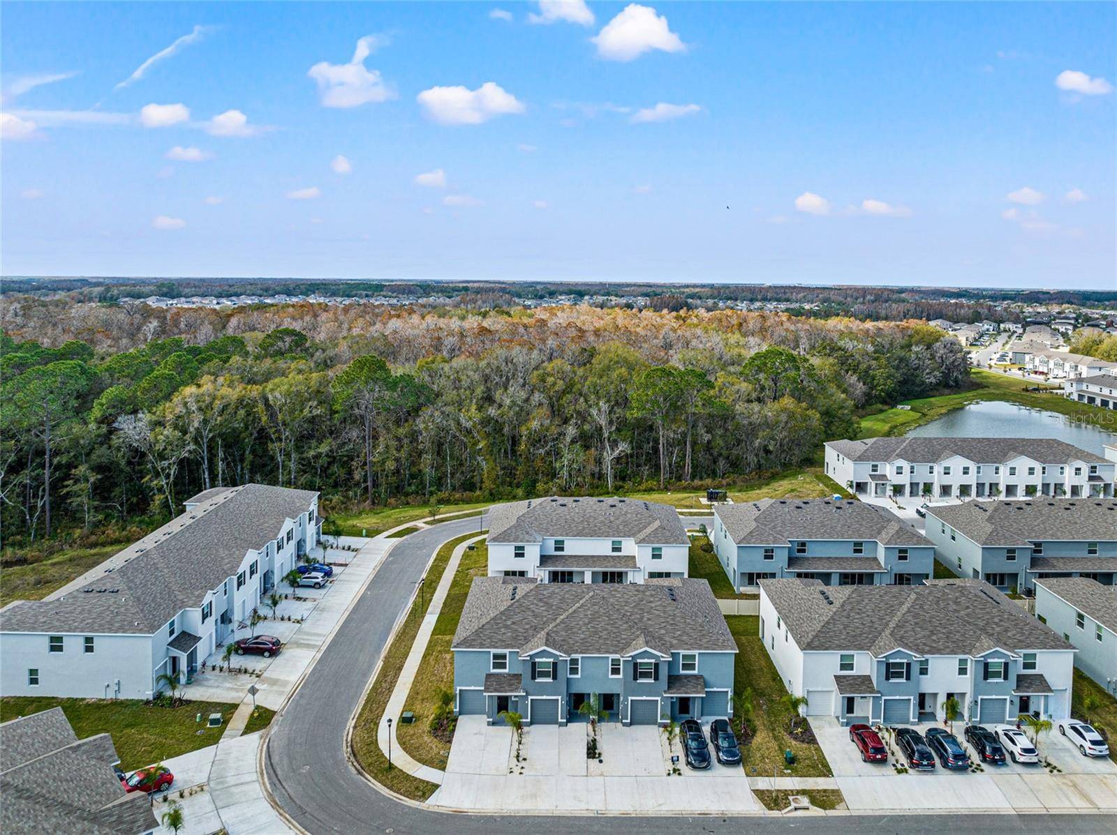 Wesley Chapel, FL 33543,1404 COLT CREEK PL