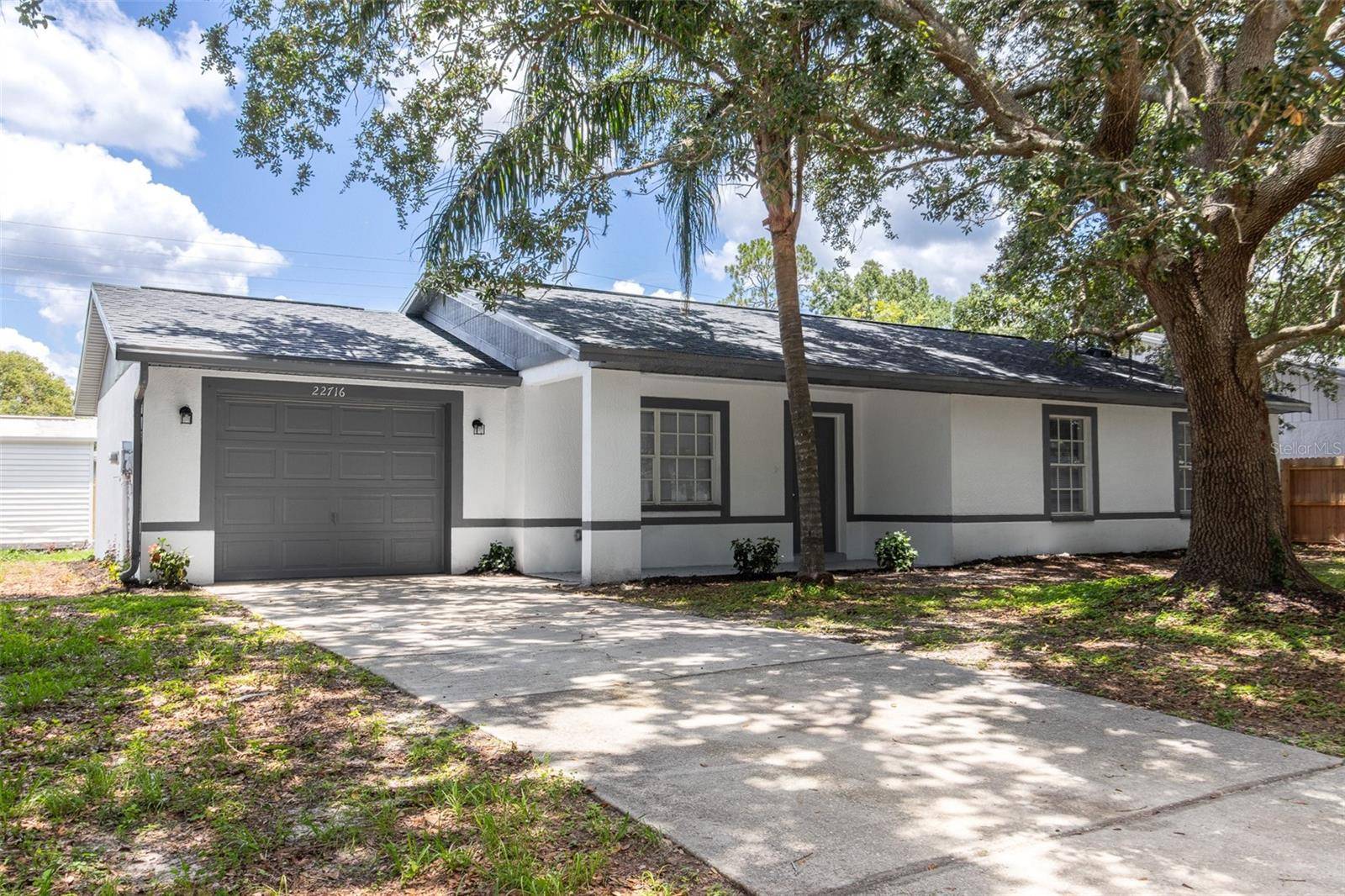 Land O Lakes, FL 34639,22716 PENNY LOOP