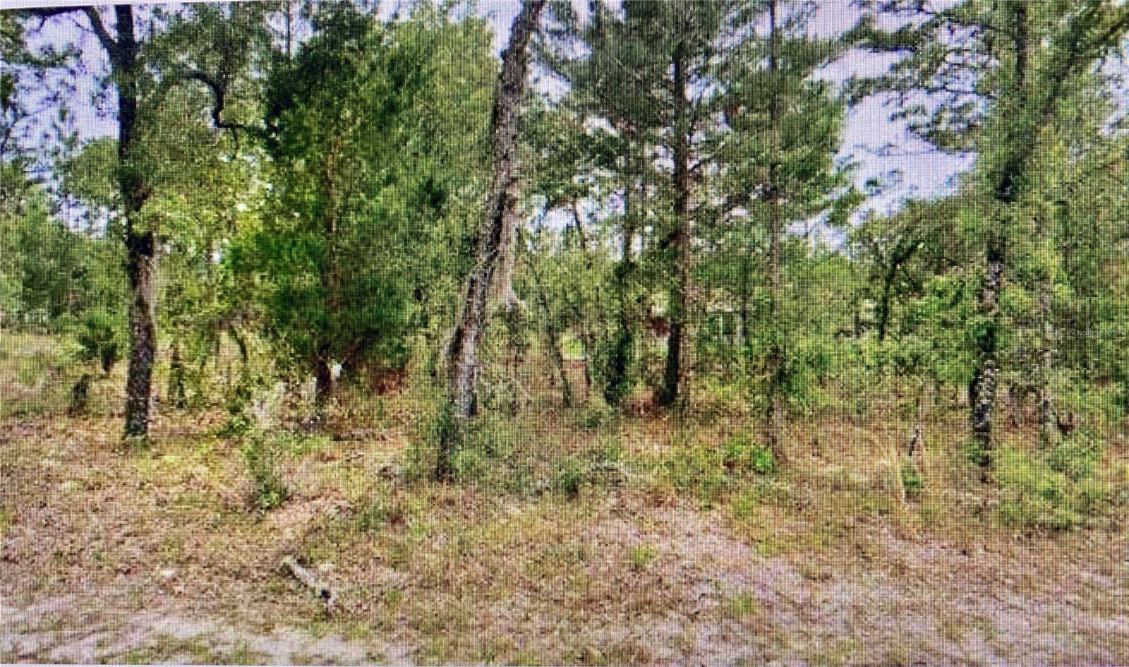 Citrus Springs, FL 34433,2842 W LEEWARD PL