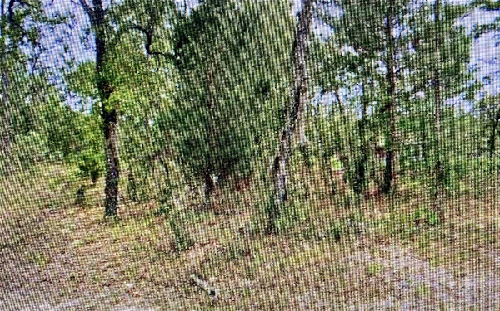 Citrus Springs, FL 34433,2842 W LEEWARD PL