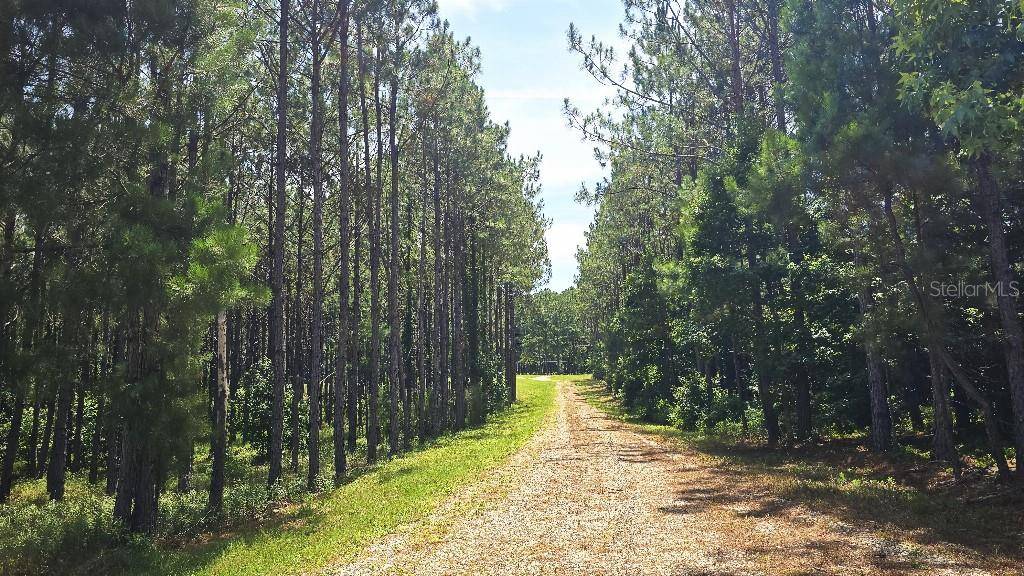 Alachua, FL 32615,10333 NW 132ND DR