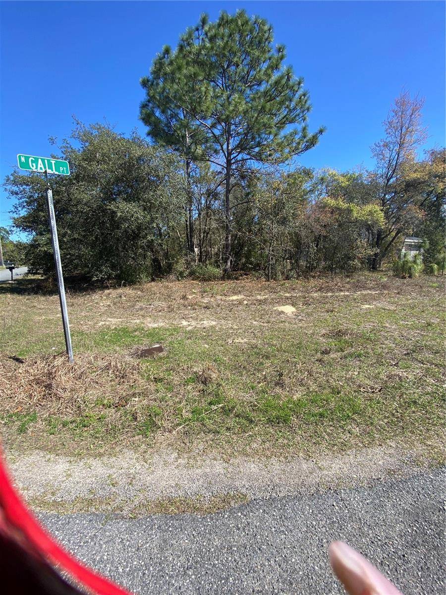 Citrus Springs, FL 34434,7209 N GALT PT