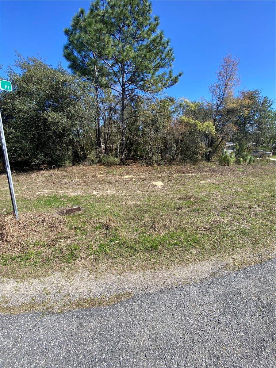 Citrus Springs, FL 34434,7209 N GALT PT